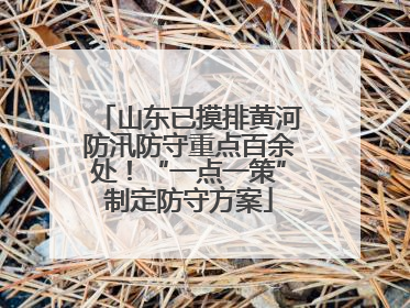山东已摸排黄河防汛防守重点百余处！“一点一策”制定防守方案