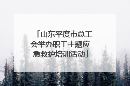 山东平度市总工会举办职工主题应急救护培训活动