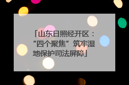 山东日照经开区：“四个聚焦”筑牢湿地保护司法屏障