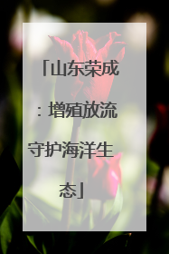 山东荣成：增殖放流守护海洋生态