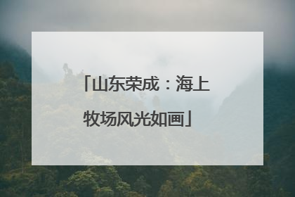 山东荣成：海上牧场风光如画