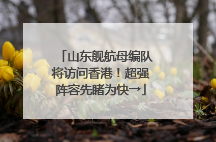 山东舰航母编队将访问香港！超强阵容先睹为快→