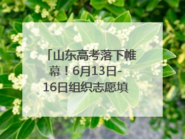 山东高考落下帷幕！6月13日-16日组织志愿填报模拟演练