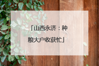 山西永济：种粮大户收获忙