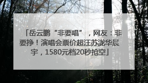 岳云鹏“非要唱”，网友：非要挣！演唱会票价超汪苏泷华晨宇，1580元档20秒抢空