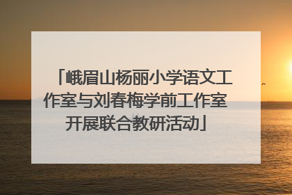 峨眉山杨丽小学语文工作室与刘春梅学前工作室开展联合教研活动