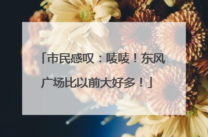 市民感叹：唛唛！东风广场比以前大好多！