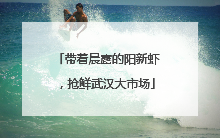 带着晨露的阳新虾，抢鲜武汉大市场