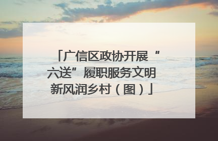 广信区政协开展“六送”履职服务文明新风润乡村（图）