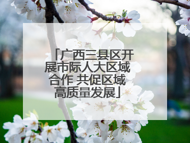 广西三县区开展市际人大区域合作 共促区域高质量发展