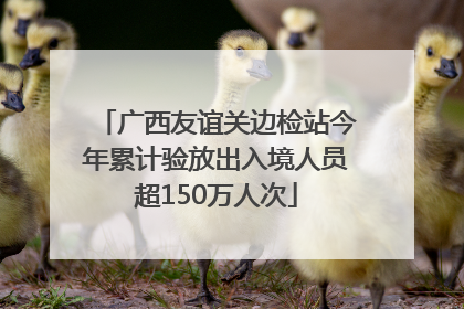 广西友谊关边检站今年累计验放出入境人员超150万人次
