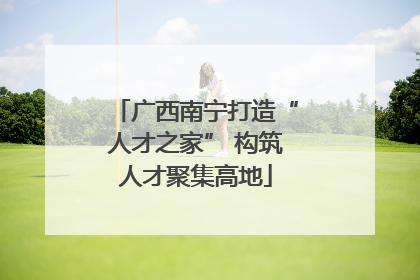 广西南宁打造“人才之家” 构筑人才聚集高地