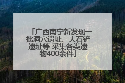 广西南宁新发现一批洞穴遗址、大石铲遗址等 采集各类遗物400余件