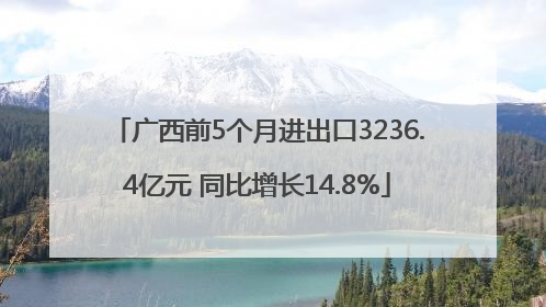 广西前5个月进出口3236.4亿元 同比增长14.8%