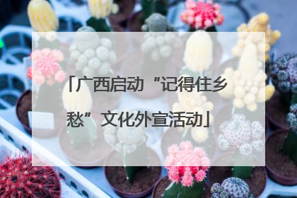 广西启动“记得住乡愁”文化外宣活动