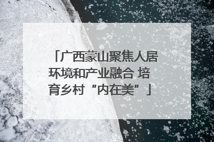 广西蒙山聚焦人居环境和产业融合 培育乡村“内在美”