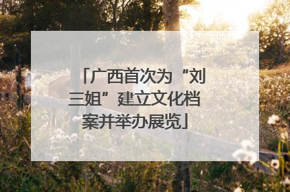 广西首次为“刘三姐”建立文化档案并举办展览