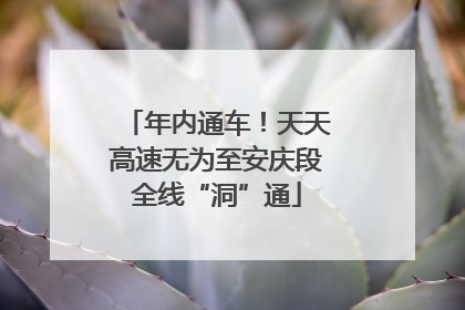年内通车！天天高速无为至安庆段全线“洞”通