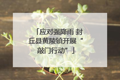 应对强降雨 封丘县黄陵镇开展“敲门行动”