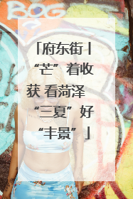 府东街丨“芒”着收获 看菏泽“三夏”好“丰景”