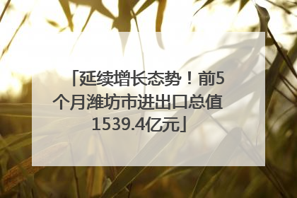 延续增长态势！前5个月潍坊市进出口总值1539.4亿元