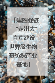建圈强链“走出去” 宜宾建设世界级生物基纺织产业基地