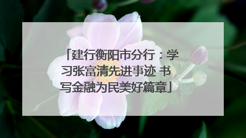建行衡阳市分行：学习张富清先进事迹 书写金融为民美好篇章