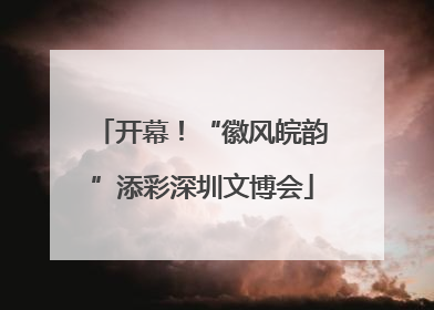 开幕！“徽风皖韵”添彩深圳文博会