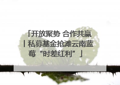 开放聚势 合作共赢丨私募基金抢滩云南蓝莓“时差红利”