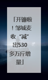 开镰啦！邹城麦收“减”出530多万斤增量