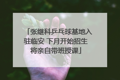 张继科乒乓球基地入驻临安 下月开始招生将亲自带班授课