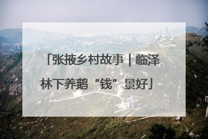 张掖乡村故事｜临泽林下养鹅“钱”景好