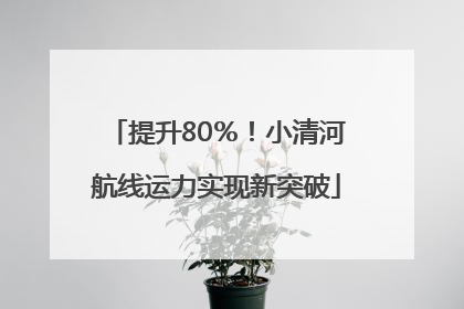 提升80％！小清河航线运力实现新突破