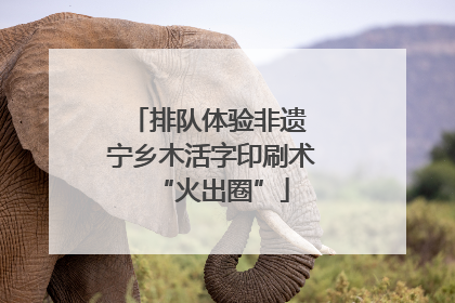 排队体验非遗 宁乡木活字印刷术“火出圈”