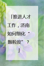 推进人才工作，济南如何细化“颗粒度”？