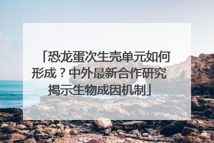 恐龙蛋次生壳单元如何形成？中外最新合作研究揭示生物成因机制