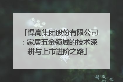 悍高集团股份有限公司：家居五金领域的技术深耕与上市进阶之路