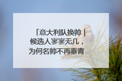 意大利队换帅｜候选人寥寥无几，为何名帅不再垂青“蓝衣军团”？