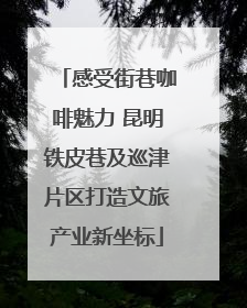 感受街巷咖啡魅力 昆明铁皮巷及巡津片区打造文旅产业新坐标
