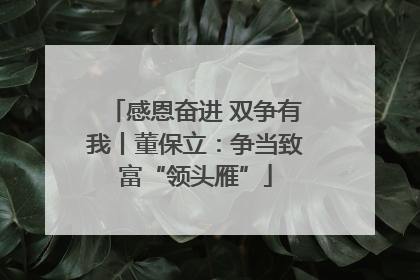 感恩奋进 双争有我丨董保立：争当致富“领头雁”