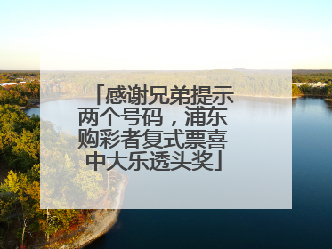 感谢兄弟提示两个号码，浦东购彩者复式票喜中大乐透头奖