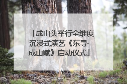 成山头举行全维度沉浸式演艺《东寻·成山赋》启动仪式