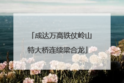 成达万高铁仗岭山特大桥连续梁合龙