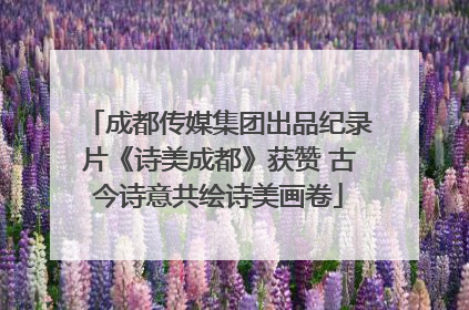 成都传媒集团出品纪录片《诗美成都》获赞 古今诗意共绘诗美画卷