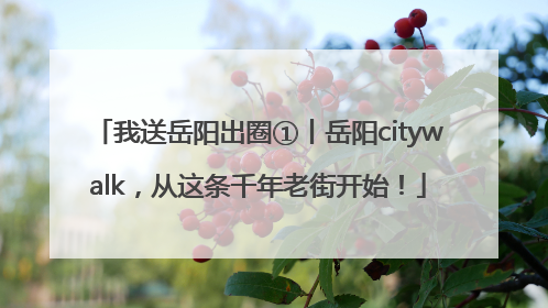 我送岳阳出圈①丨岳阳citywalk，从这条千年老街开始！