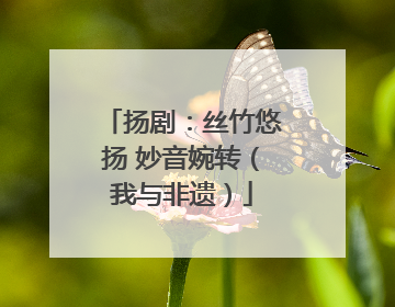 扬剧：丝竹悠扬 妙音婉转（我与非遗）