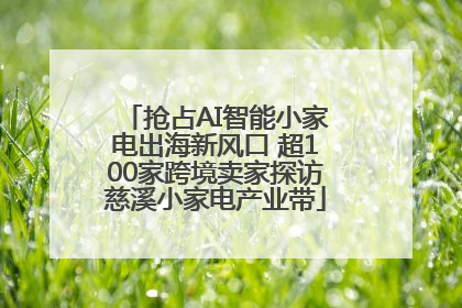 抢占AI智能小家电出海新风口 超100家跨境卖家探访慈溪小家电产业带