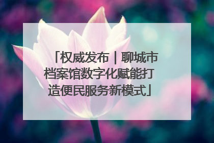 权威发布｜聊城市档案馆数字化赋能打造便民服务新模式