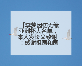 李梦因伤无缘亚洲杯大名单，本人发长文致谢：感谢祖国和国家队，这不是终点