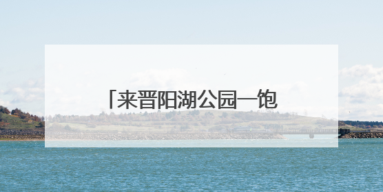 来晋阳湖公园一饱眼福吧！12万株百合花热烈绽放……